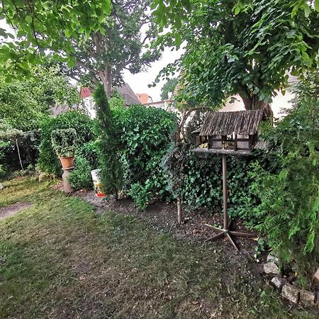 Kwatery U Zisi Miedzyzdroje Bagian luar foto